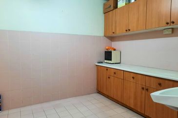 Evergreen Park Acorn and Hazel