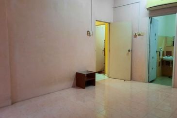 Evergreen Park Acorn and Hazel