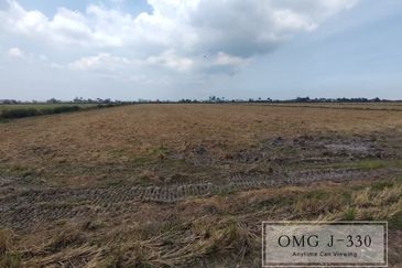 Tanjung Karang Kuala Selangor Freehold Agriculture Land Road Access
