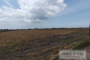 Tanjung Karang Kuala Selangor Freehold Agriculture Land Road Access