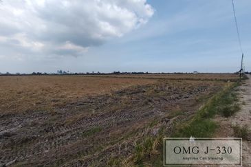 Tanjung Karang Kuala Selangor Freehold Agriculture Land Road Access