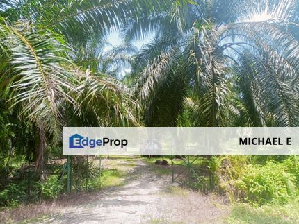 Banting Morib Agriculture Title 5 Acres Freehold Palm Oil 5 tons Every months, Selangor, Banting