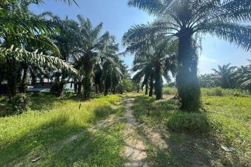 Telok Panglima Garang Industrial Zone