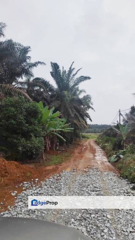 Kulai Johor Bahru @ Agricultural Land, Johor, Kulai