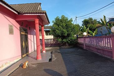Taman Murni, Paloh