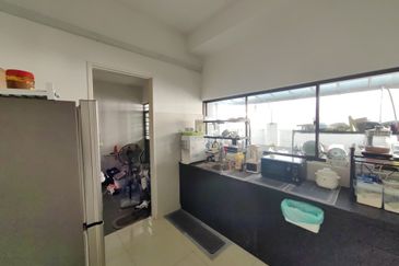 The Rainforest @ Eco Tropics