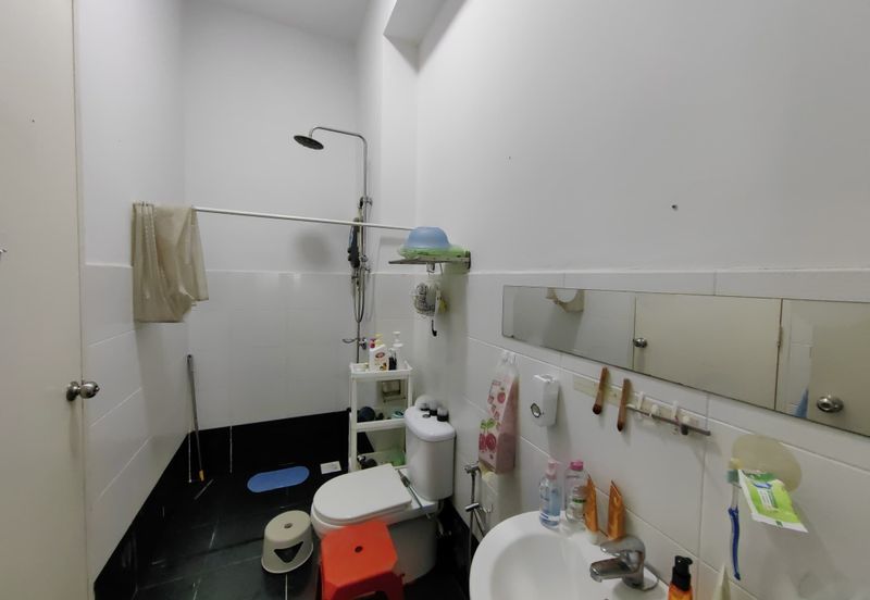 The Rainforest @ Eco Tropics