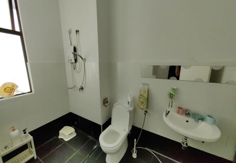 The Rainforest @ Eco Tropics