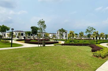 Tate Dalton @ Eco Botanic 2