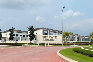 Tate Dalton @ Eco Botanic 2