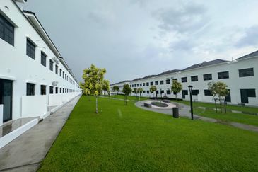 Tate Dalton @ Eco Botanic 2