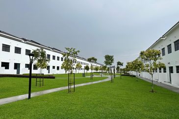 Tate Dalton @ Eco Botanic 2