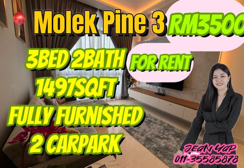 Molek Pine 3