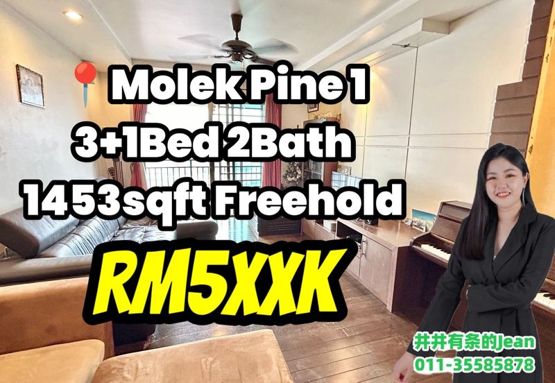 Molek Pine
