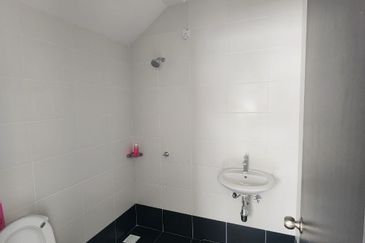 Tate Dalton @ Eco Botanic 2