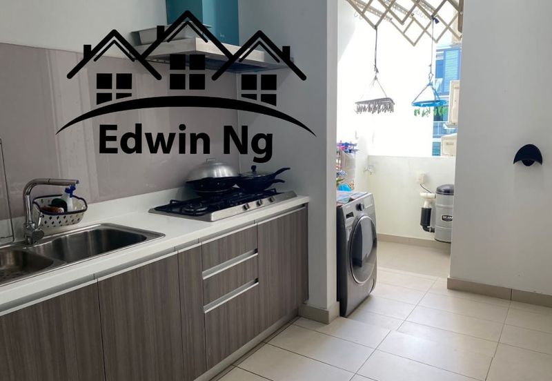 The Light Collection II