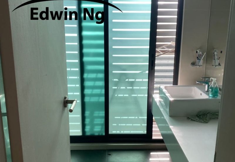 The Light Collection II