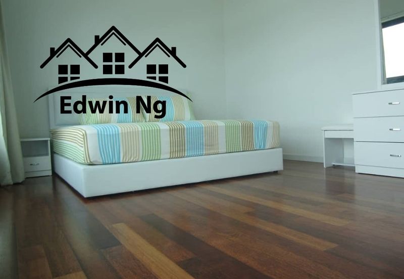 The Light Collection I