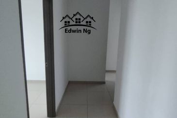 Tree Sparina @ Ideal Vision Park