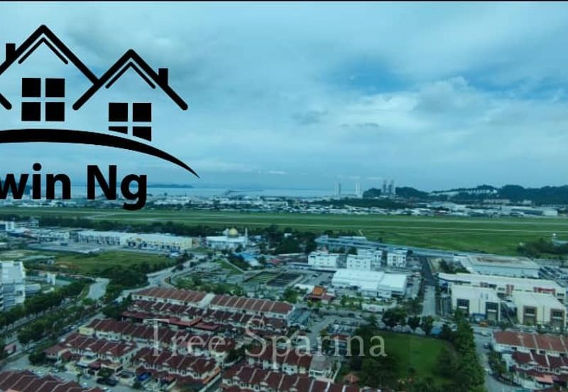 Tree Sparina @ Ideal Vision Park