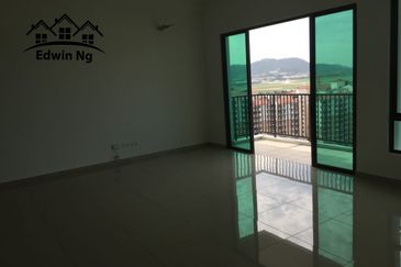 Tree Sparina @ Ideal Vision Park