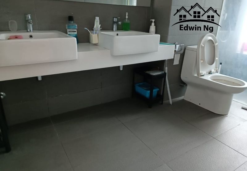 The Light Collection III