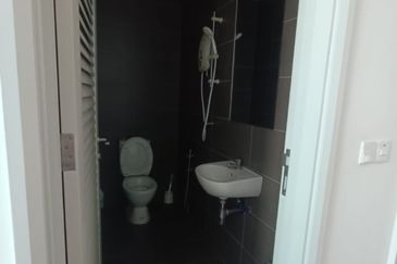 The Light Collection III