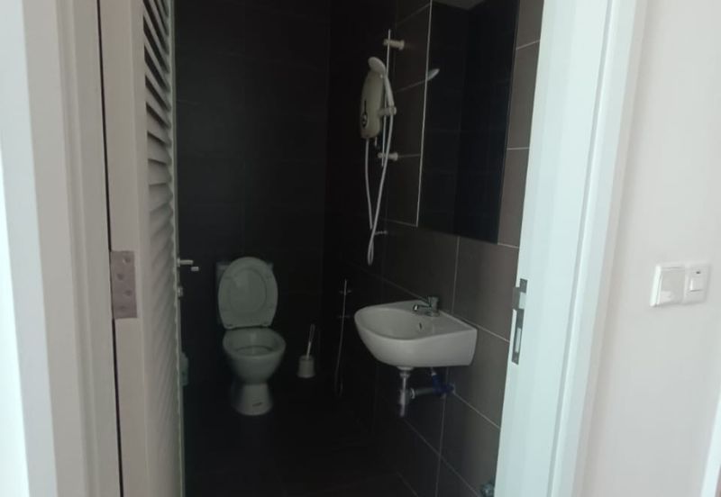 The Light Collection III