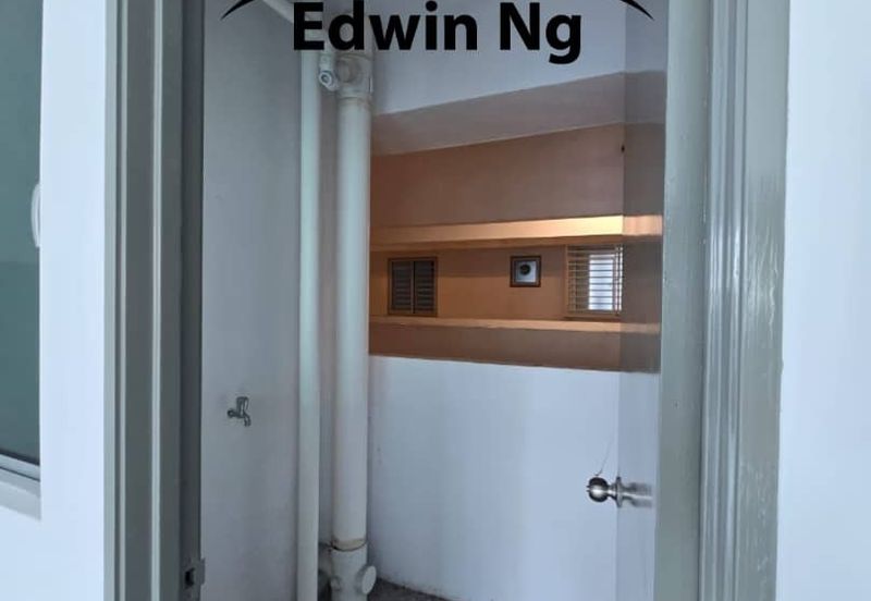 The Rise Collection 2