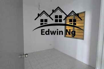 The Rise Collection 2