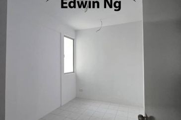 The Rise Collection 2