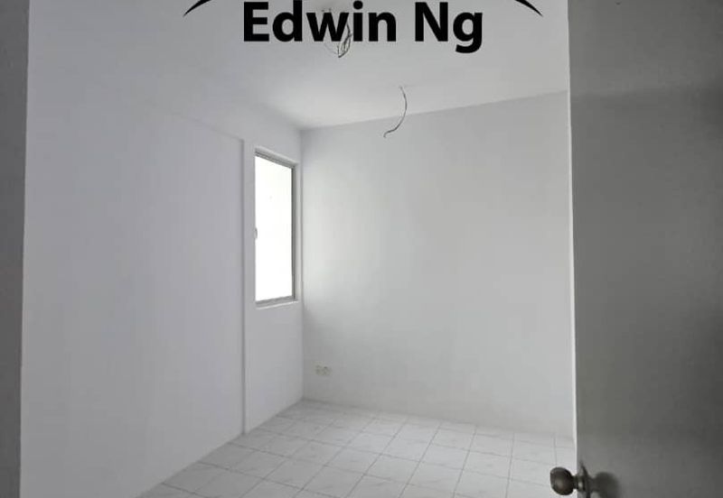 The Rise Collection 2