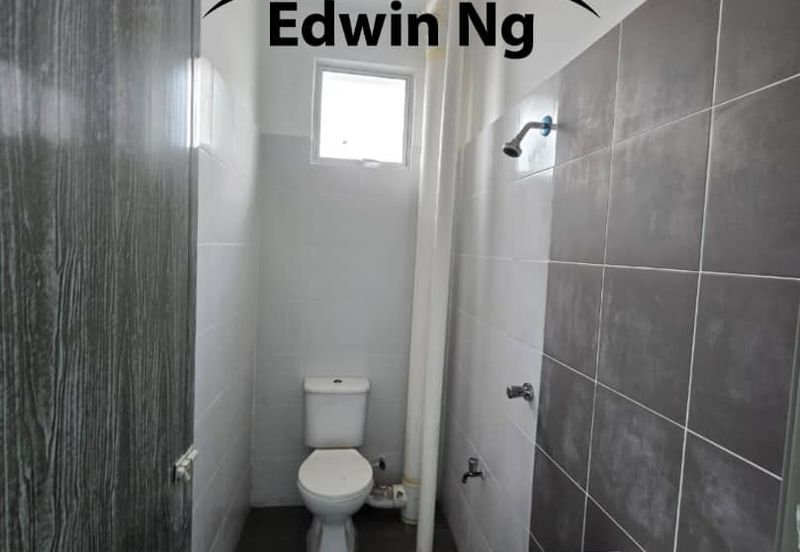 The Rise Collection 2