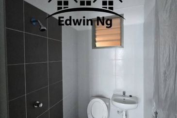 The Rise Collection 2