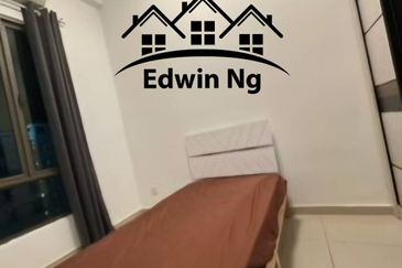 Tree Sparina @ Ideal Vision Park