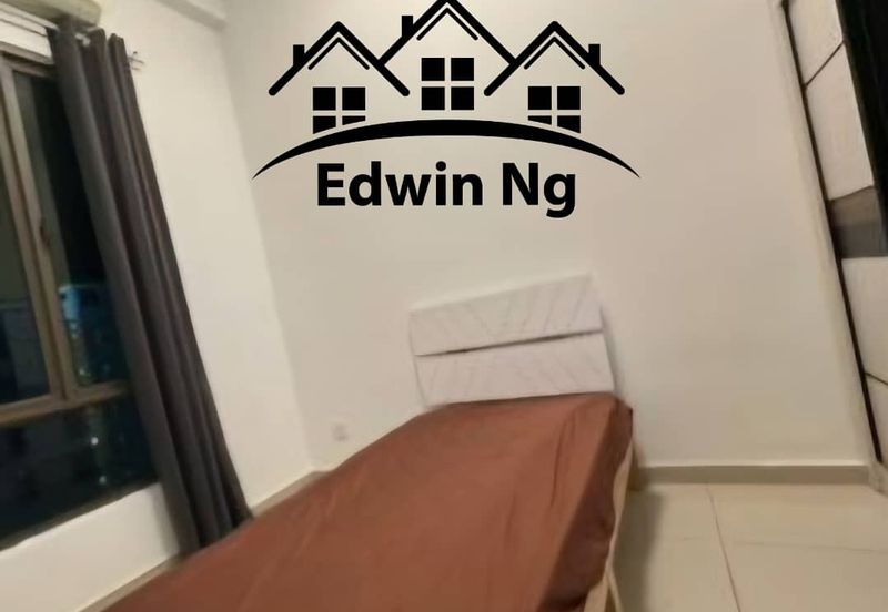 Tree Sparina @ Ideal Vision Park