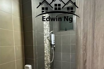 Tree Sparina @ Ideal Vision Park