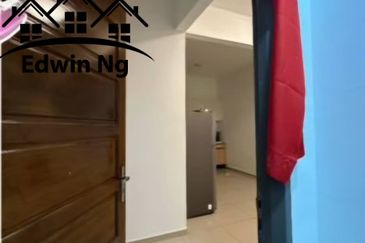 Tree Sparina @ Ideal Vision Park