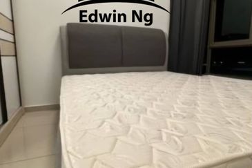 Tree Sparina @ Ideal Vision Park