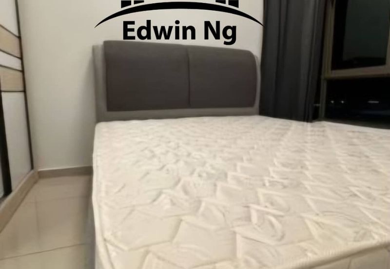 Tree Sparina @ Ideal Vision Park