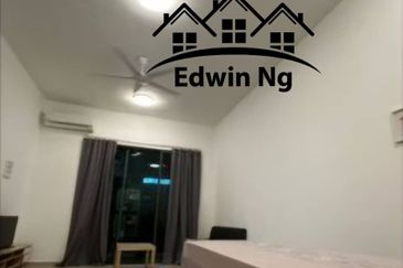 Tree Sparina @ Ideal Vision Park