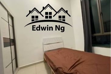 Tree Sparina @ Ideal Vision Park