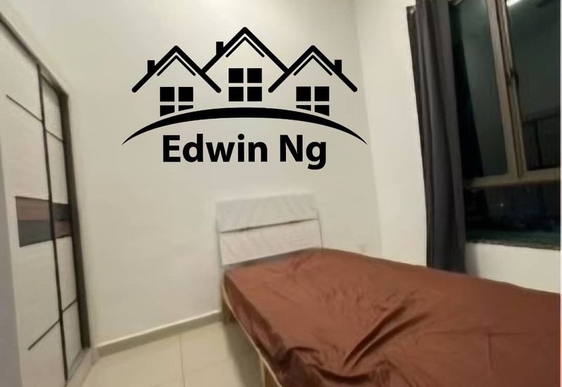 Tree Sparina @ Ideal Vision Park