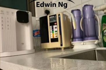 Tree Sparina @ Ideal Vision Park