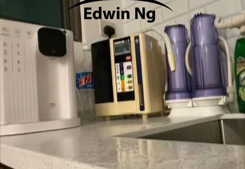 Tree Sparina @ Ideal Vision Park