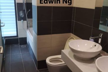 The Light Collection I