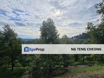 Freehold Durian Orchard 6.293 Acres at Bagan Samak, Bandar Baharu, Kedah FOR SALE, Kedah, Bandar Baharu
