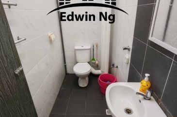 The Rise Collection 2