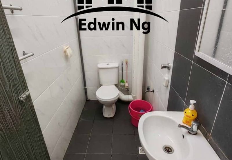 The Rise Collection 2