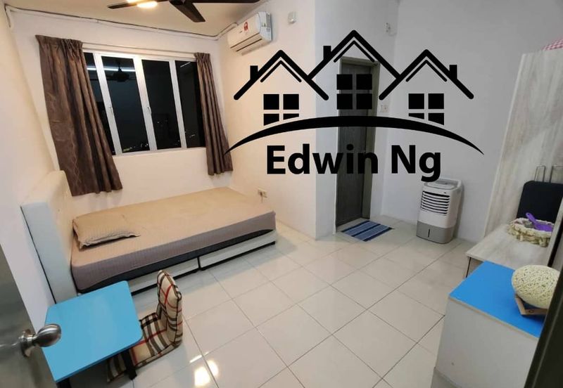 The Rise Collection 2